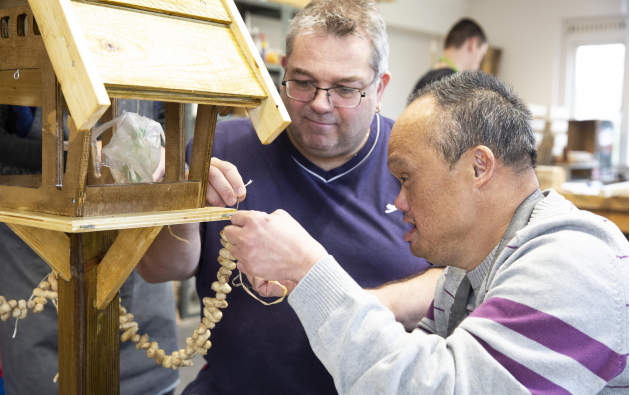 Ander werk of activiteiten bij SDW
